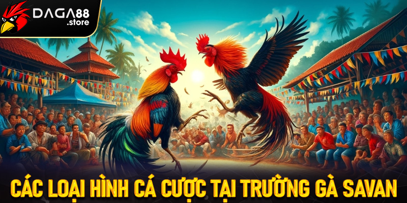 Các hình thức cá độ ở trường đá gà savan
