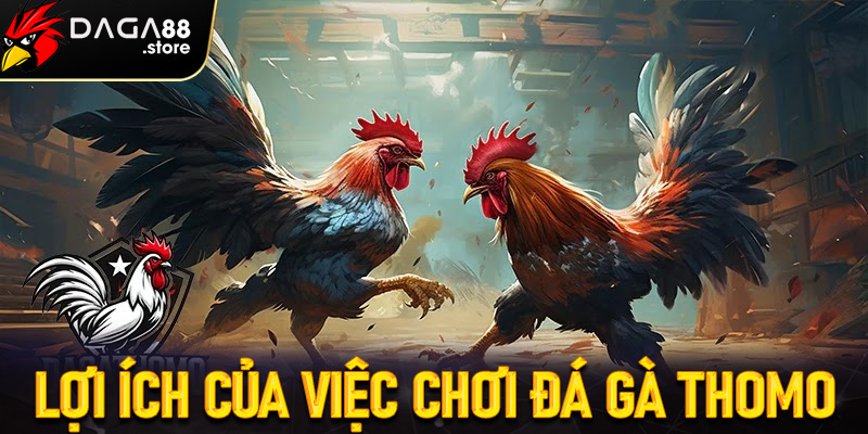 Lợi Ích Của Việc Chơi Đá Gà Thomo Trực Tuyến