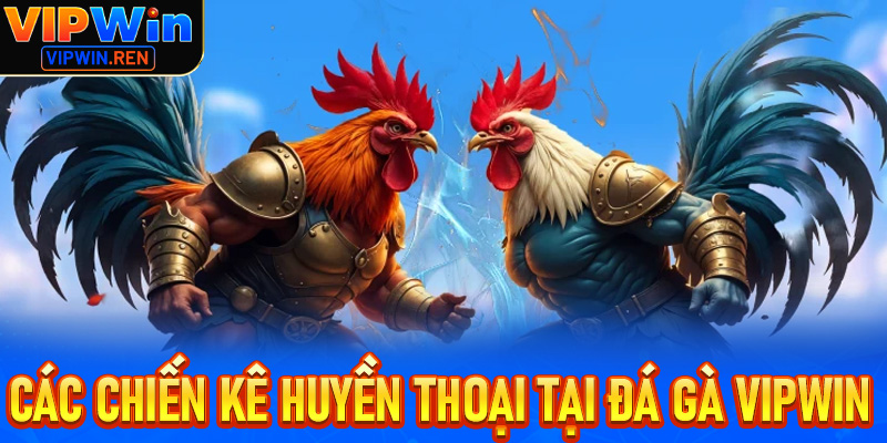 Các chiến kê huyền thoại tại Đá gà Vipwin – Những tượng đài bất tử