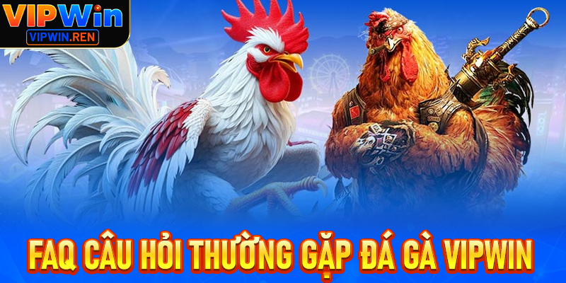 FAQs – Những câu hỏi thường gặp về Đá gà Vipwin